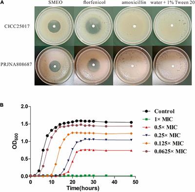 Essential Oils From Citrus unshiu Marc. Effectively Kill Aeromonas hydrophila by Destroying Cell Membrane Integrity, Influencing Cell Potential, and Leaking Intracellular Substances